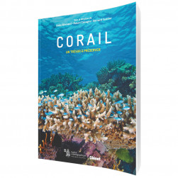 Corail, un trésor à préserver