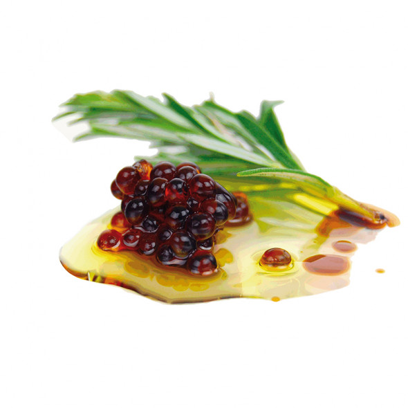 Vinaigre balsamique au Kombu Vinaigre balsamique au Kombu
