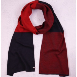 Echarpe Aubert