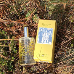 BRUME INTERIEUR PARFUMÉ GWIDOR