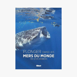 PLONGER DANS LES MERS DU MONDE
